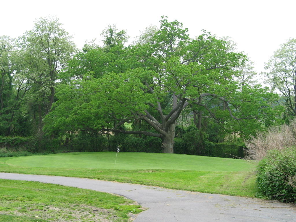 306-0611_IMG.JPG
